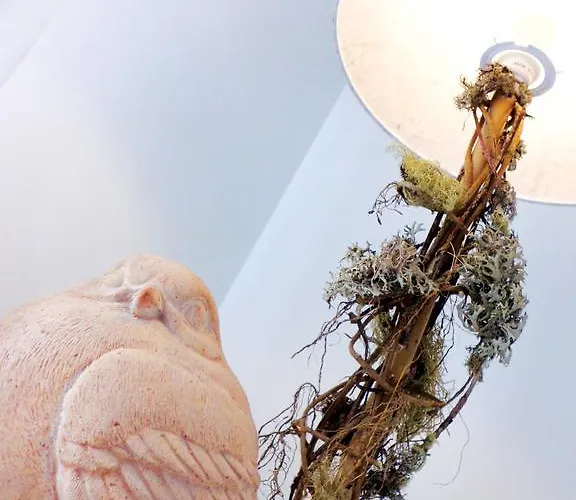 Than לינה וארוחת בוקר רומא